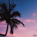 코리아워싱 이미지