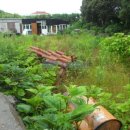 표선리-26 이미지