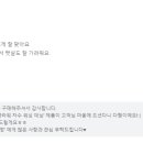 마엘브랜드