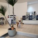 원우상사 | 공연&lt;크라잉넛 30주년 기념 클럽 투어 벤더&gt; 2025.07.17. 후기