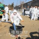 배양1리 이미지