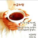 지금처럼 이미지