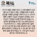 콩깍지 이미지