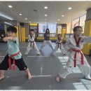 S태권도장 이미지