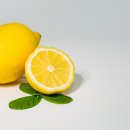 레몬 이미지