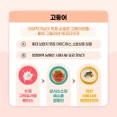 마포-서교-마포-3650 이미지