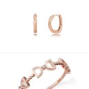 네잎클로버의 메아리 이미지