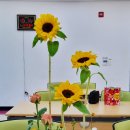 산동행정복지센터 이미지