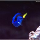 어항고개 이미지