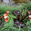 호빈조류새농장 이미지