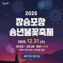 거제송년불꽃축제 | 2025 거제 장승포항 불꽃축제 시간·주차 실제 방문 후기｜아이와 함께하는 연말축제