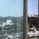 멤버쉽풀 | 오리엔트리조트 멤버쉽 무료이용권 후기 고급 호텔 혼자 숙박하기