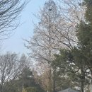 여주 숙소 마조렐글램핑리조트 글램핑빌라디럭스 내돈내산 후기