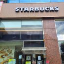 스타벅스 이벤트 투명우산 세트 그린 내돈내산 수령 후기