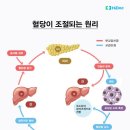 21. 당뇨병을 쉽게 탈출할 수 있는 식이요법 이미지