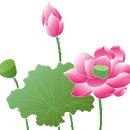 계림사 이미지