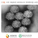 동국한의원 이미지