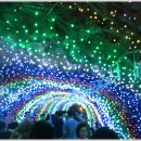 광명동굴 이미지