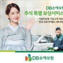 DB 이미지