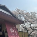 5970 | 일본 소도시 혼자 여행 (온천추천) 팬스타크루즈 후기