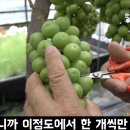 김천아그로 이미지