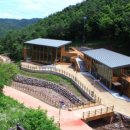 에코야영장 | 공립 영양에코둥지 자연휴양림 (경상북도)