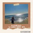 워킹덕 | 부산여행 2일차 부산역에서 버스타고 해운대해수욕장