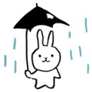 정통왕족발 이미지