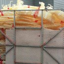 제네시스 PC 이미지