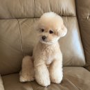 반야시스터 이미지