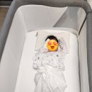 피피푸푸 이미지