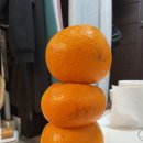 미림여관 네이버블로그