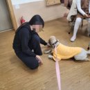 임실 청웅초등학교 이미지