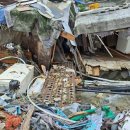 구룡 축사 이미지