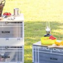 데일리 캠핑 이미지