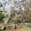 대방굴항 이미지