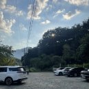 민들레애견 | [충주/민들레]충주 한식맛집, 애견동반가능 찜닭 내돈내산 솔직후기