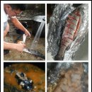 남강캠프 이미지