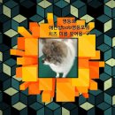 BOB영등포점 이미지