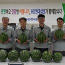 삼호 이미지