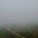 6월 10일 海霧 속으로 걸어가는 태안반도 해당화와 삐비꽃 여행 이미지