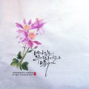 꽃붓캘리 이미지