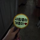 강아지 산책 펫티켓 | 내돈내산 네임포네임 산책와펜