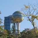 정남진테마숲 이미지