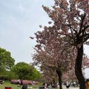 미사경정공원 이미지