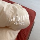 엔투엔바이오 | 라튤립 이불 후기 (바닐라 사계절 차렵이불, 버터크림)