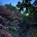 마천 목욕탕 | #지리산종주 #노고단 ~ 백무동 코스 벽소령에서 포기한 후기2