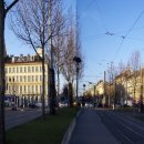 노이민박 이미지