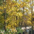 호텔 후 이미지