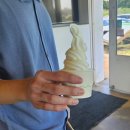 애월한담 민박 | Day 1~2(버닝레스트 펜션, 해녀뜰, 연화지, 한담해변, 애월 메누하 카페, 성이시돌 목장, 오설록 티...